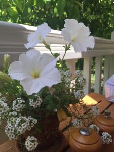 White Flowers